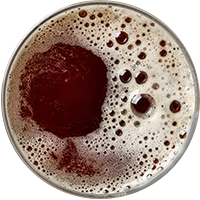 https://bandrtequiladistributors.com/wp-content/uploads/2017/05/beer_transparent_02.png